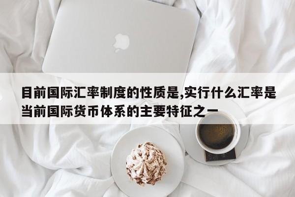 目前国际汇率制度的性质是,实行什么汇率是当前国际货币体系的主要特征之一